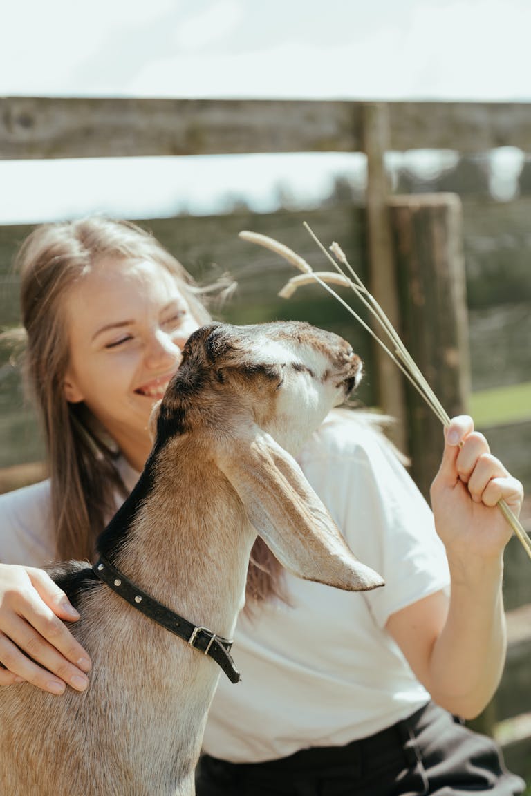 Smiling young woman caressing a cute goat outdoors on a sunny day at a farm.