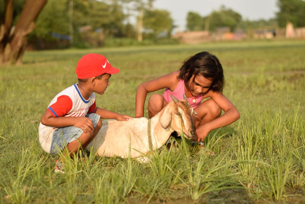 Two children joyfully interacting with a goat in a sunlit grassy field.