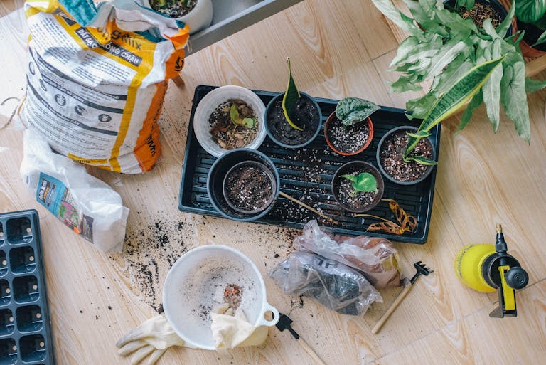 Aerial view of indoor gardening tools and potted plants layout.