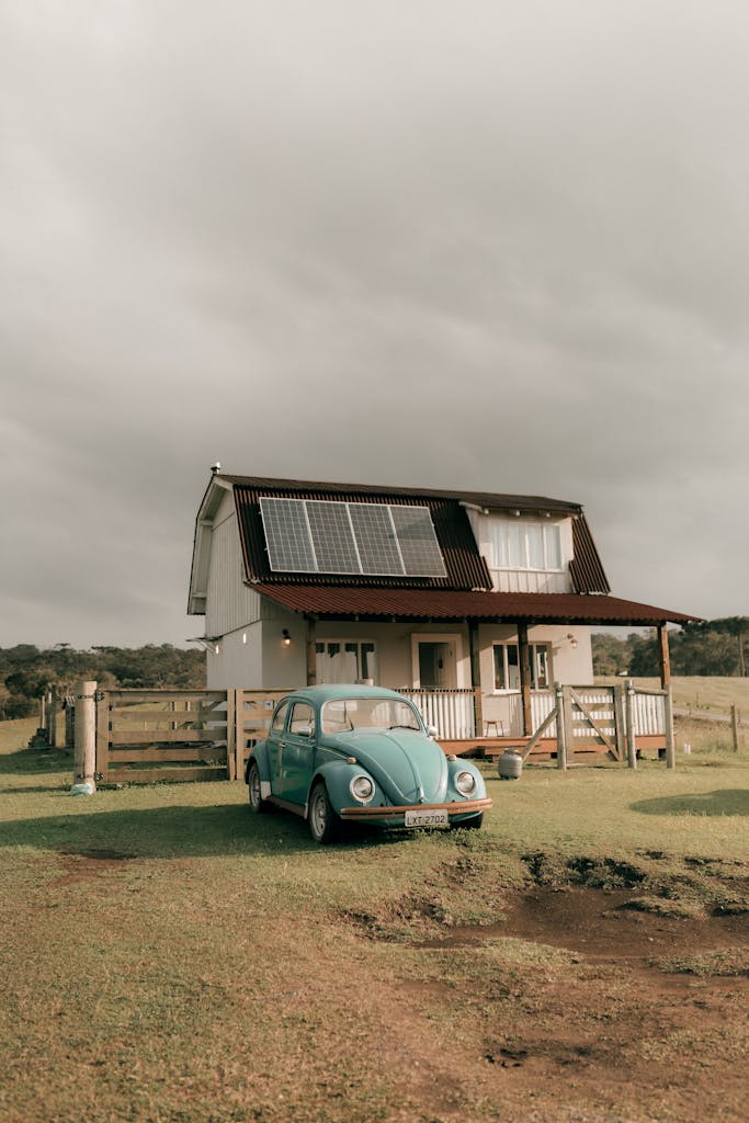 Homesteading for beginners with backyard garden and small livestock