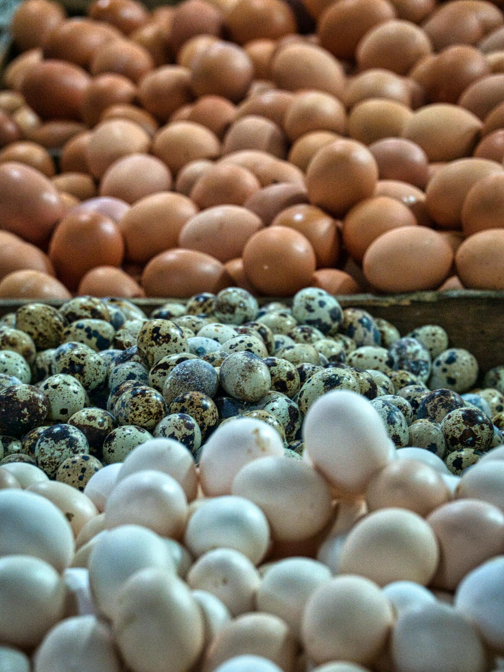 Variety of fresh eggs including chicken, quail, and duck at a market stall.