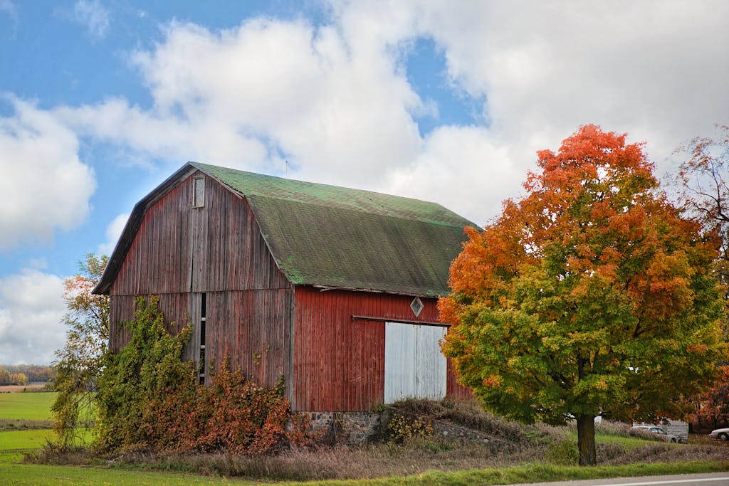 Charming red barn surrounded by autumn foliage under a bright sky.