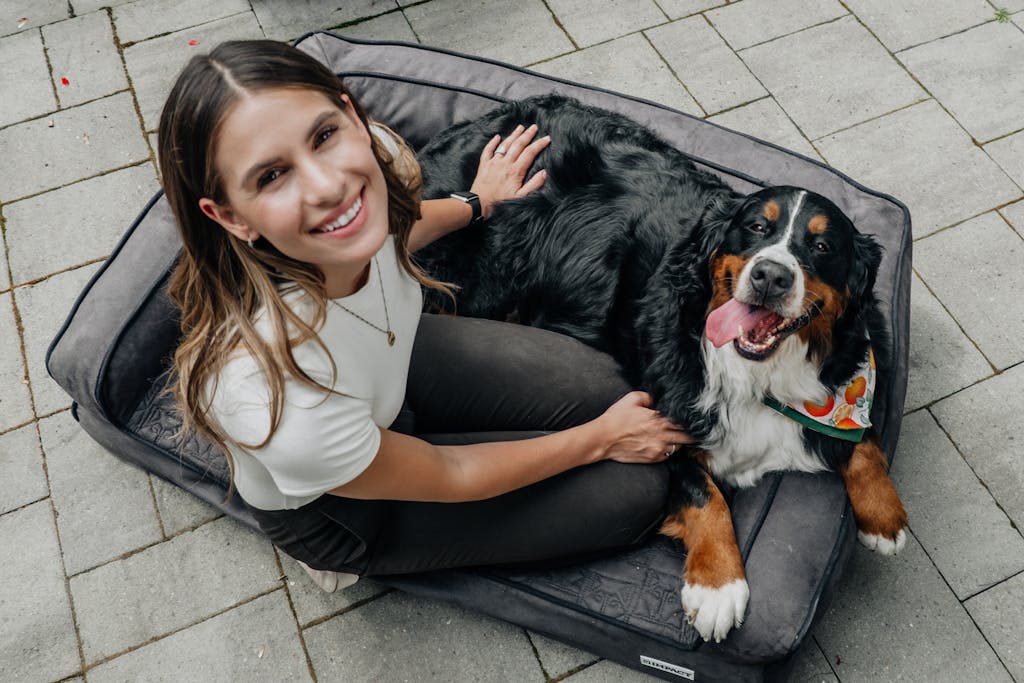Great Pyrenees and Bernese Mountain Dog