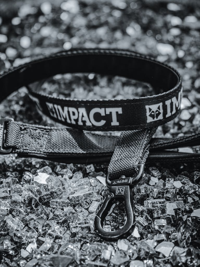biothane dog leash
